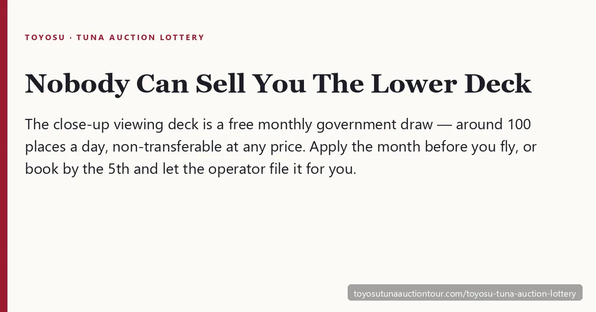 Toyosu tuna auction lottery — the close-up lower deck is a free monthly government draw of around 100 places a day, non-transferable